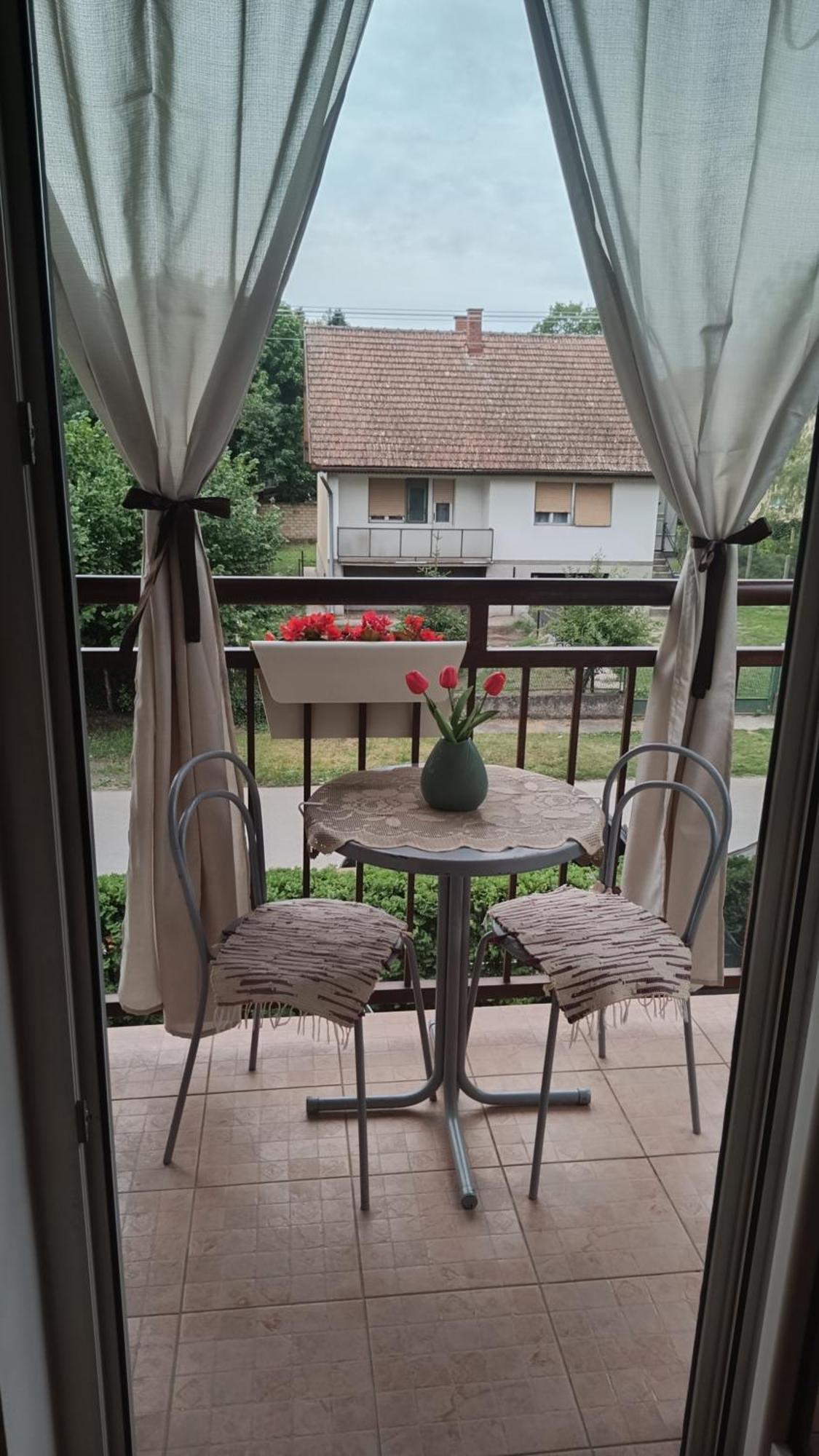 Dora Apartman Palić Exterior foto