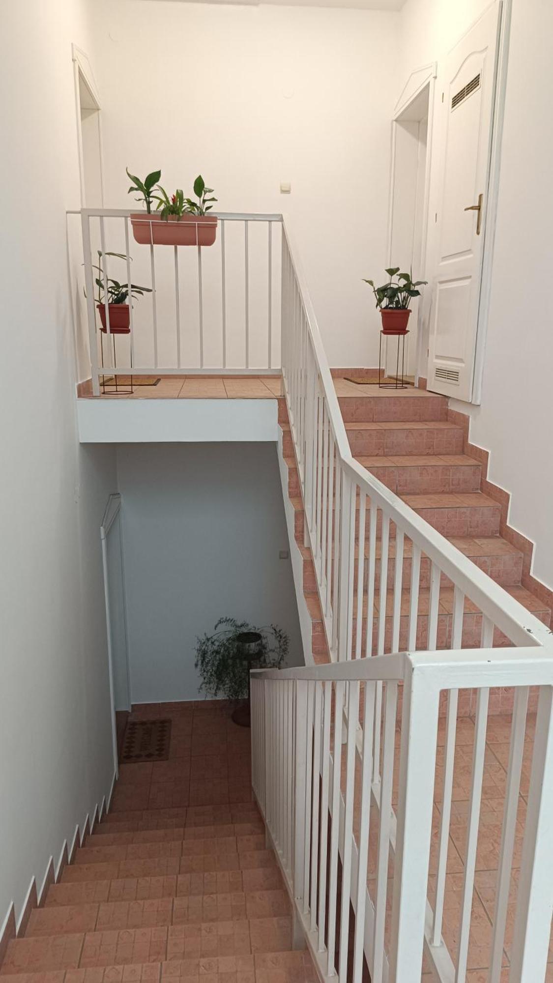 Dora Apartman Palić Exterior foto